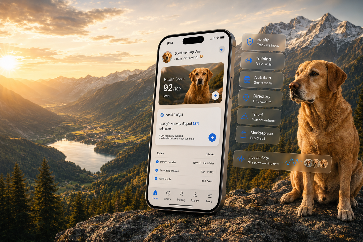 The nooki app on an iPhone next to a dog on an alpine ridge